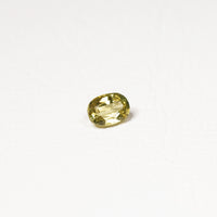 Australian 0.8CT Oval cut sapphire hand view — Ruhuna Gemstones