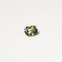 Australian Yellow 1CT Oval cut sapphire hand view — Ruhuna Gemstones