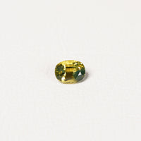 Australian Yellow 1.05CT Oval cut sapphire hand view — Ruhuna Gemstones