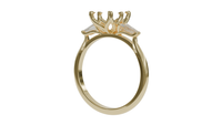 Araliya Trilogy engagement ring close-up detail — Ruhuna Gemstones